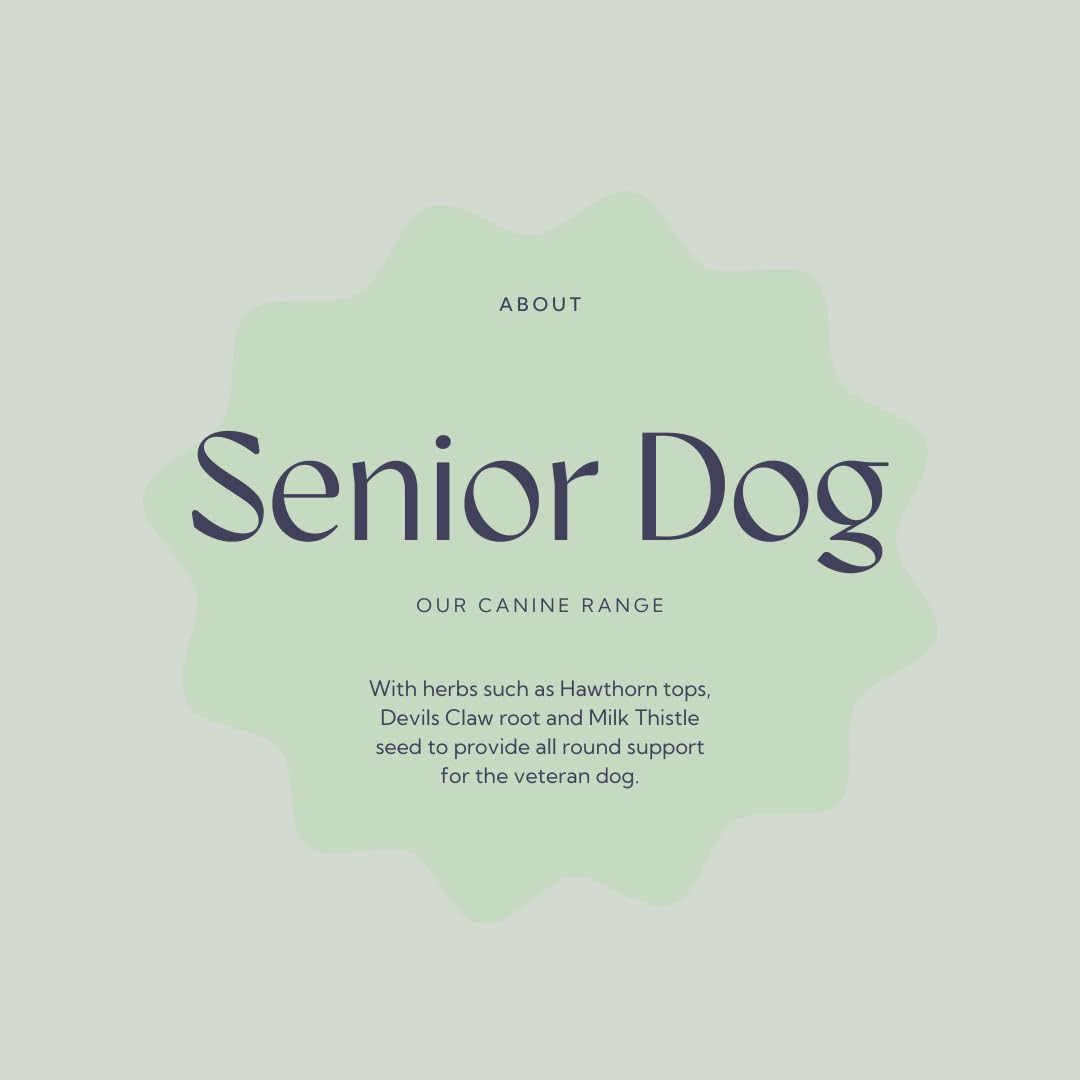 Senior Dog Health Supplement 4.4 oz Tub Z521