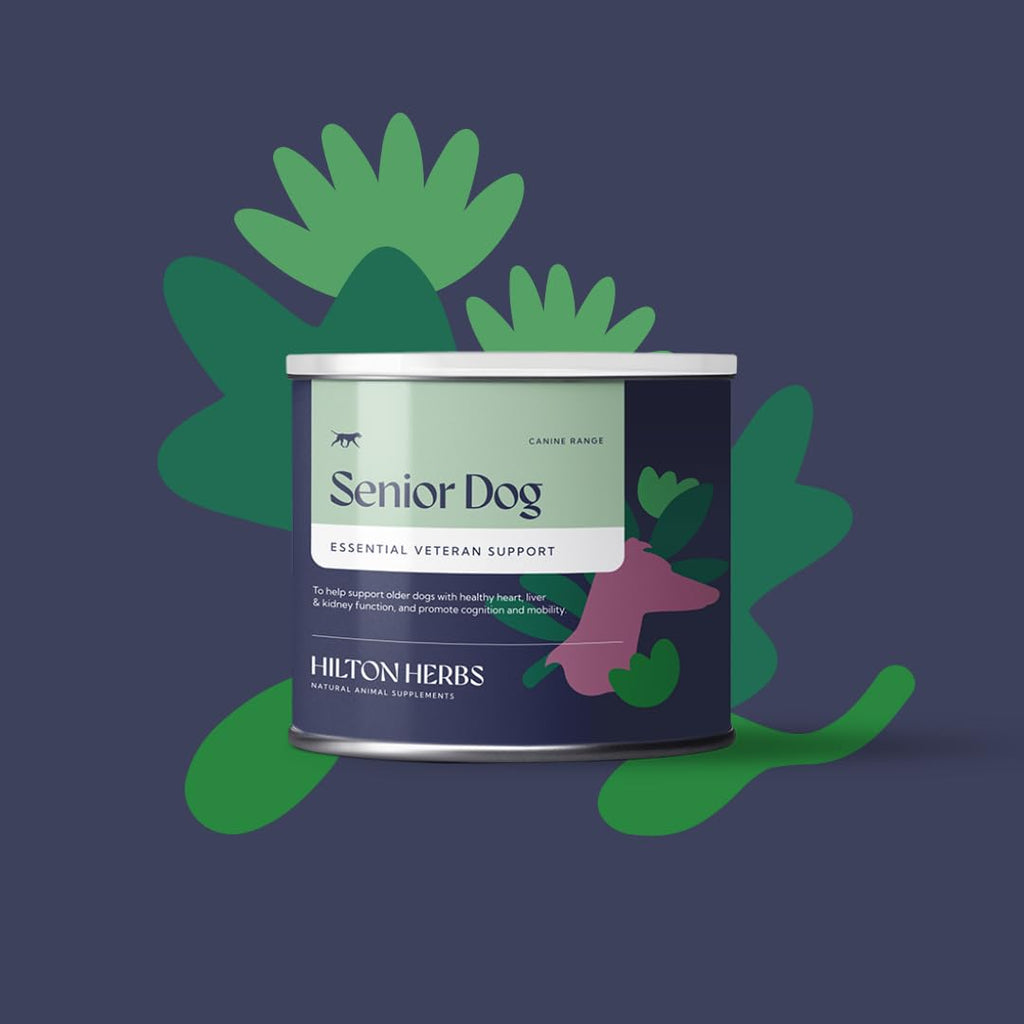 Senior Dog Health Supplement 4.4 oz Tub Z521