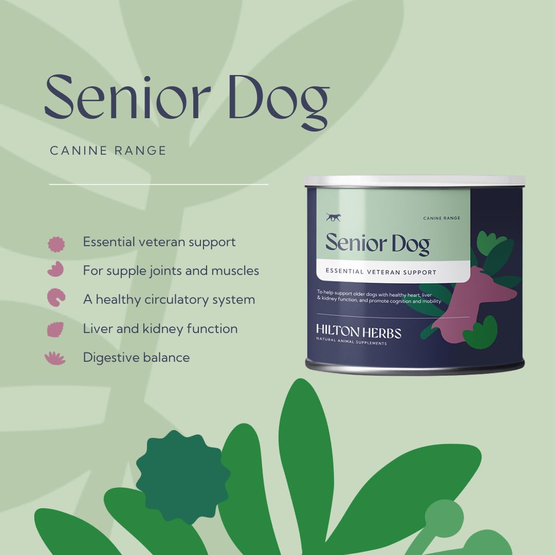 Senior Dog Health Supplement 4.4 oz Tub Z521