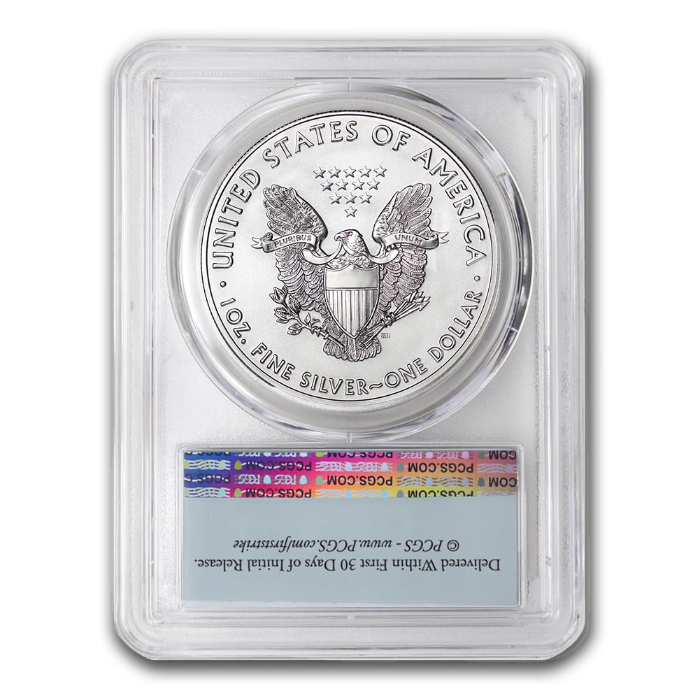 1 oz American Silver Eagle Coin B343