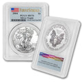1 oz American Silver Eagle Coin B343