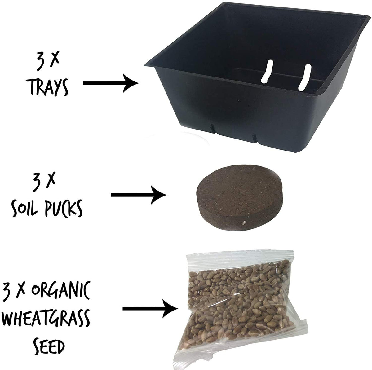 Organic Cat Grass Kit with 3 Trays A718