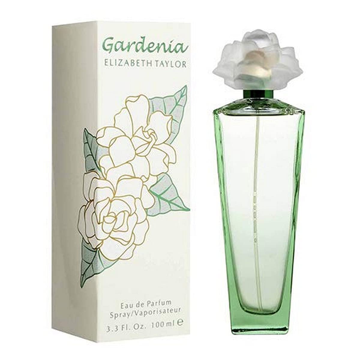 Eau de Parfum Spray Floral Green Musky Scent 100 mL U249
