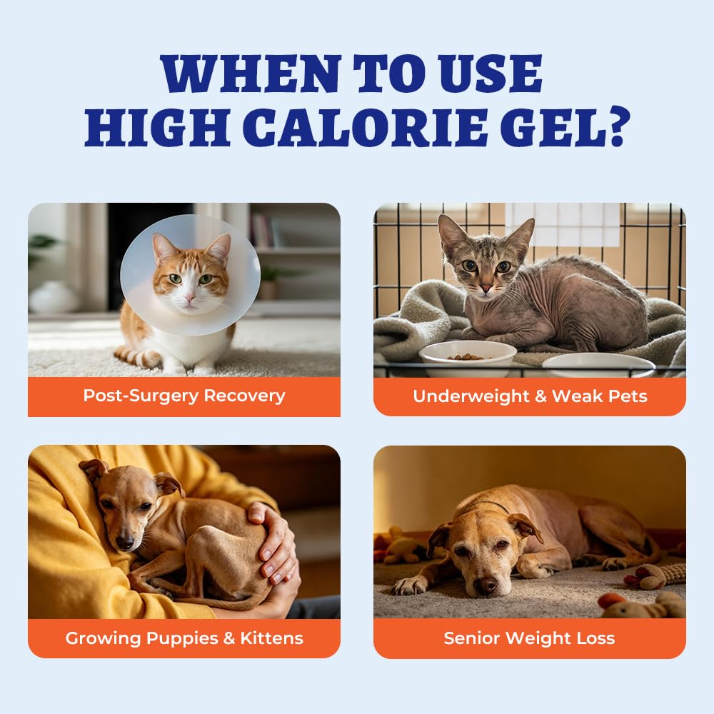 Nutritional Gel with Taurine for Dogs & Cats Q604
