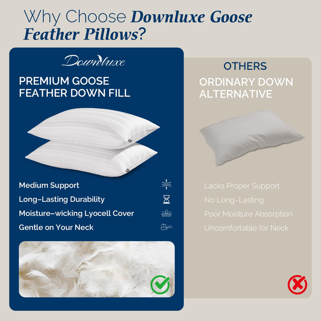 Goose Feather and Down King Size Pillows Set of 2 R319