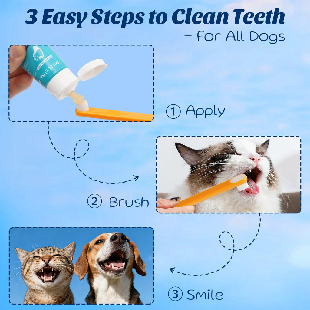 Coconut Chicken Flavor Dog Toothpaste with Toothbrush Kit 2.1oz E774963