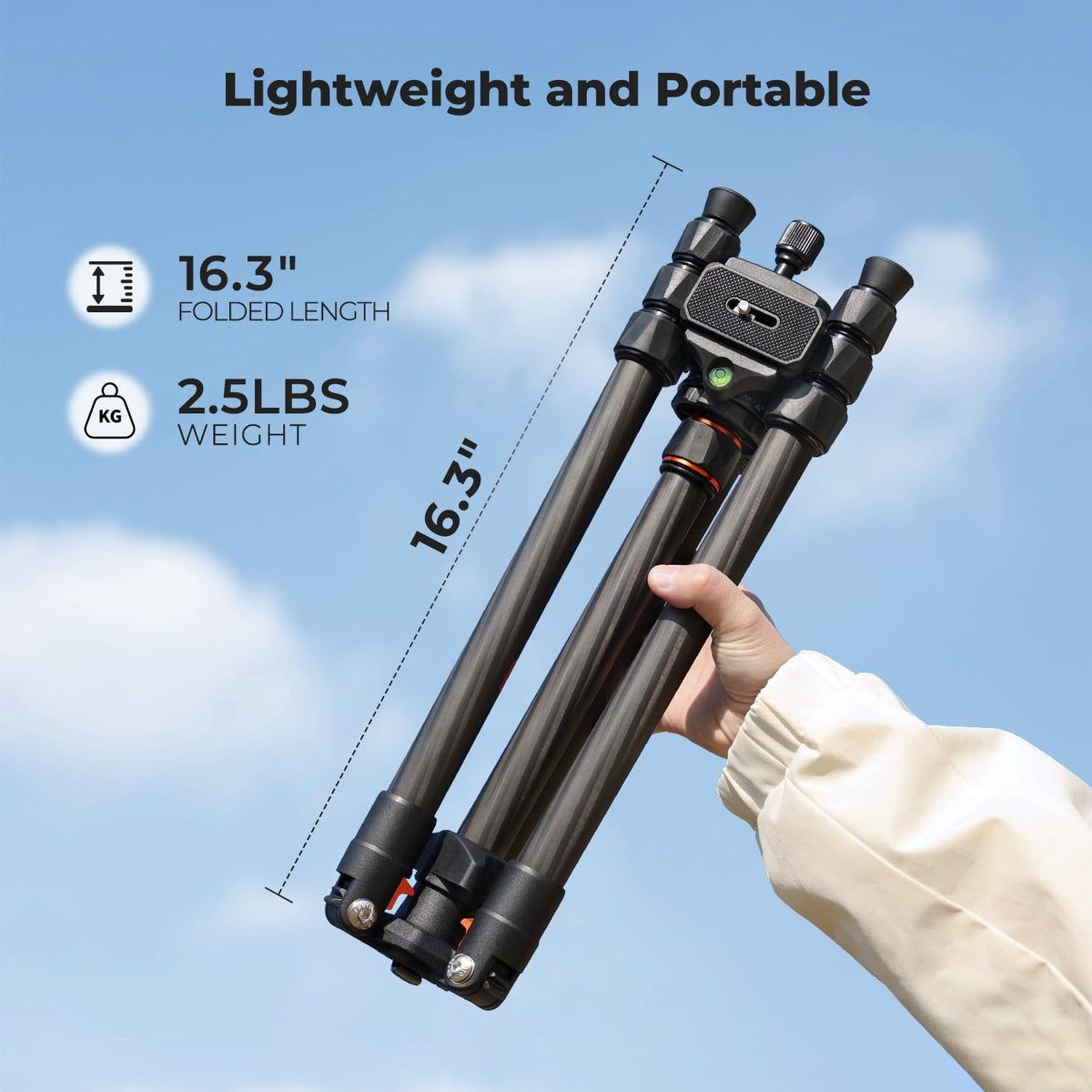 Carbon Fiber Camera Tripod with Ball Head C617