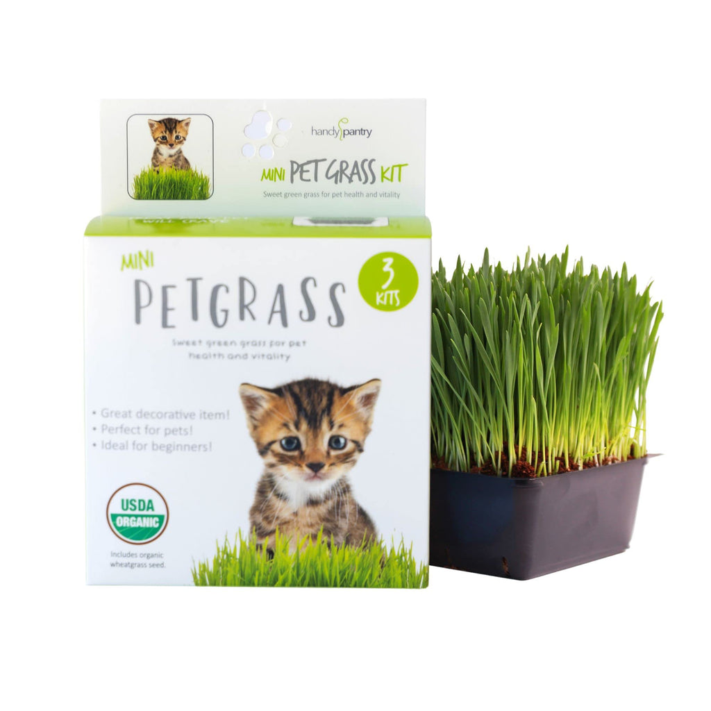 Organic Cat Grass Kit with 3 Trays A718