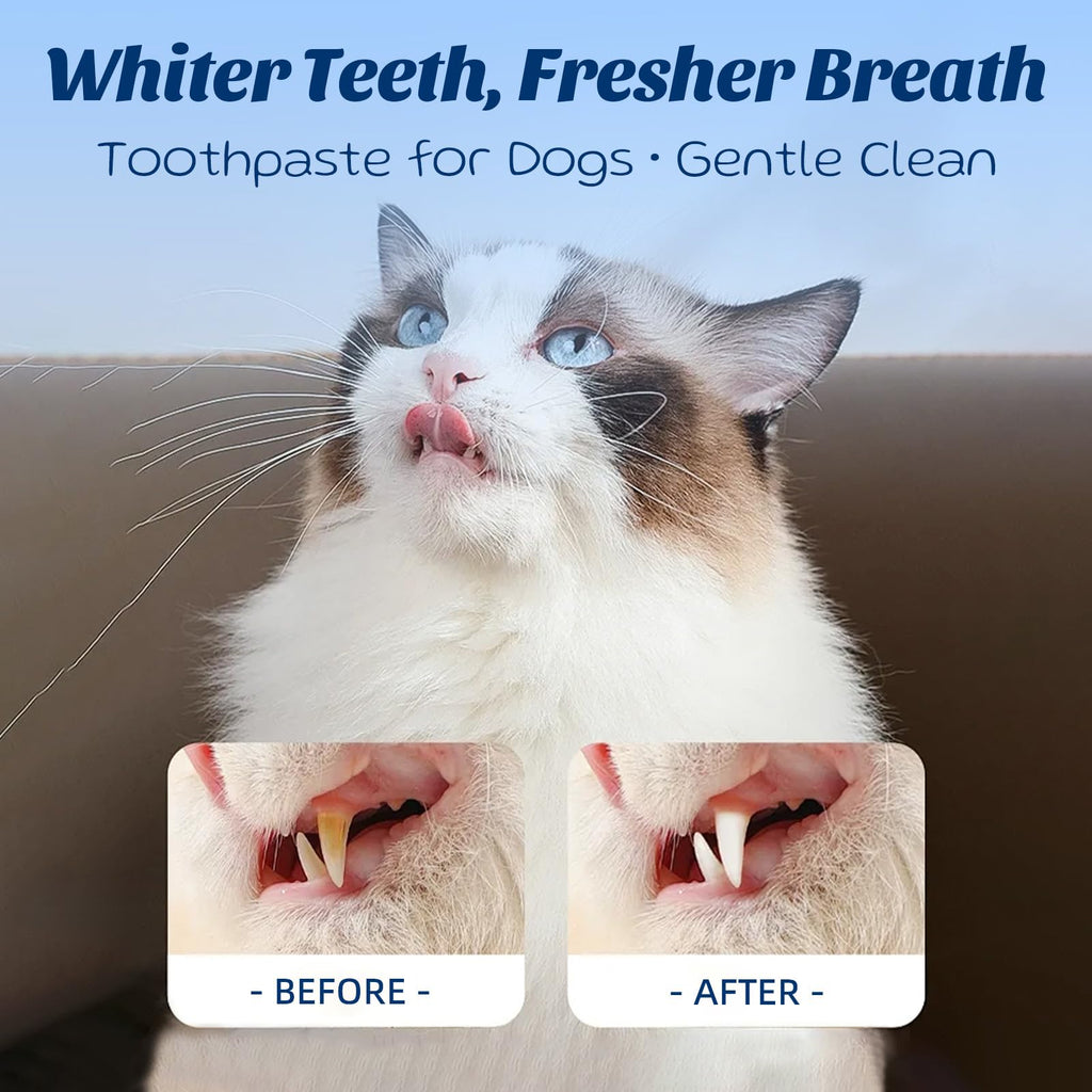 Coconut Chicken Flavor Dog Toothpaste with Toothbrush Kit 2.1oz E774963