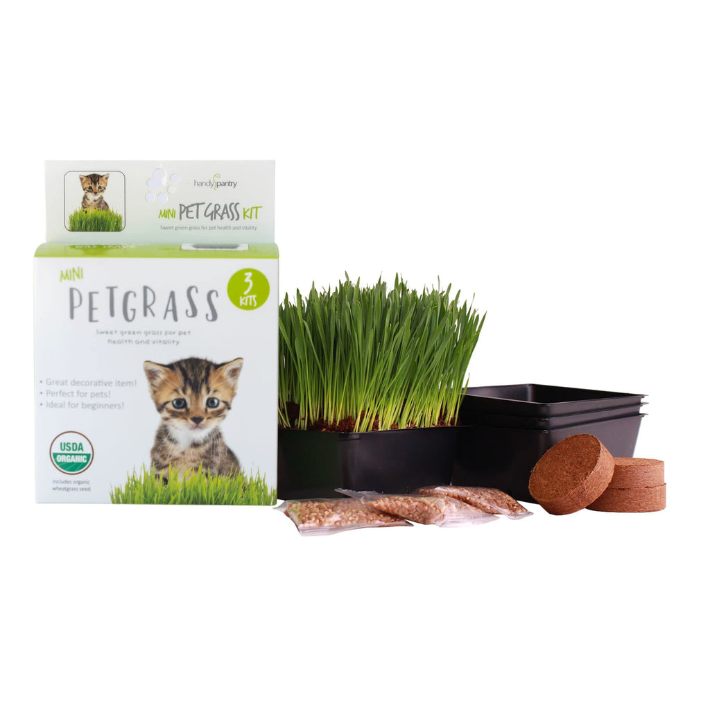 Organic Cat Grass Kit with 3 Trays A718