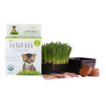 Organic Cat Grass Kit with 3 Trays A718