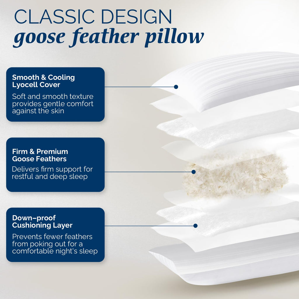 Goose Feather and Down King Size Pillows Set of 2 R319