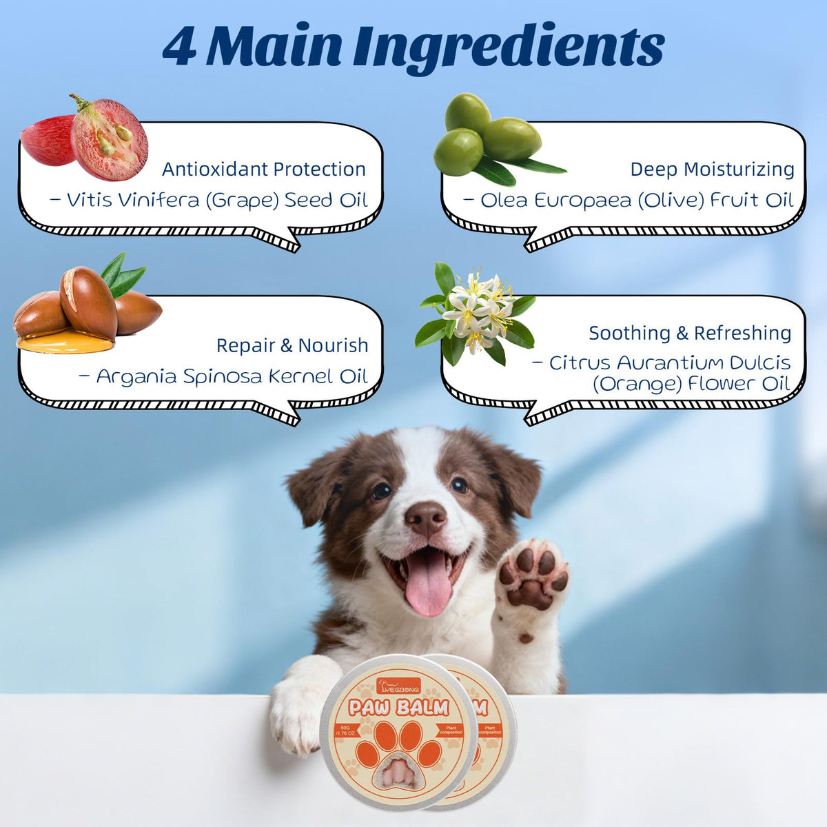 Coconut Chicken Flavor Dog Toothpaste with Toothbrush Kit 2.1oz E774963