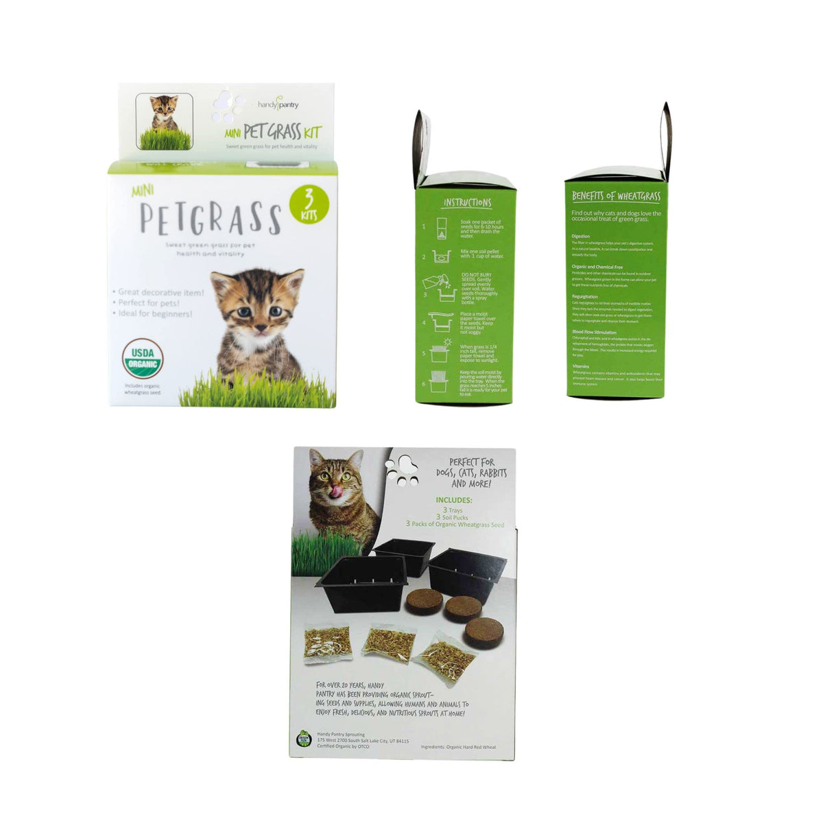 Organic Cat Grass Kit with 3 Trays A718