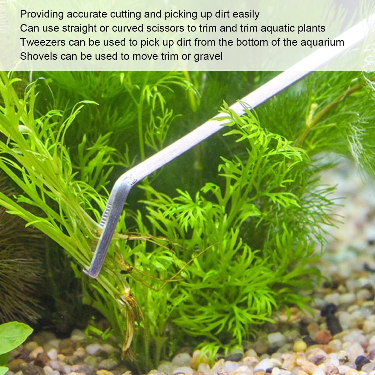 5 in 1 Stainless Steel Aquarium Aquascaping Kit S5374