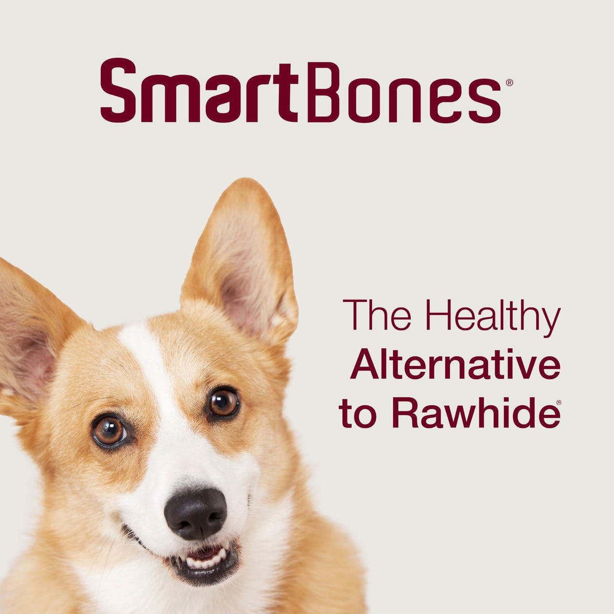 Mini Rawhide-Free Chews for Dogs G131647