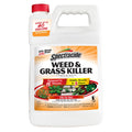 Weed & Grass Killer Concentrate 1 Gal V3312