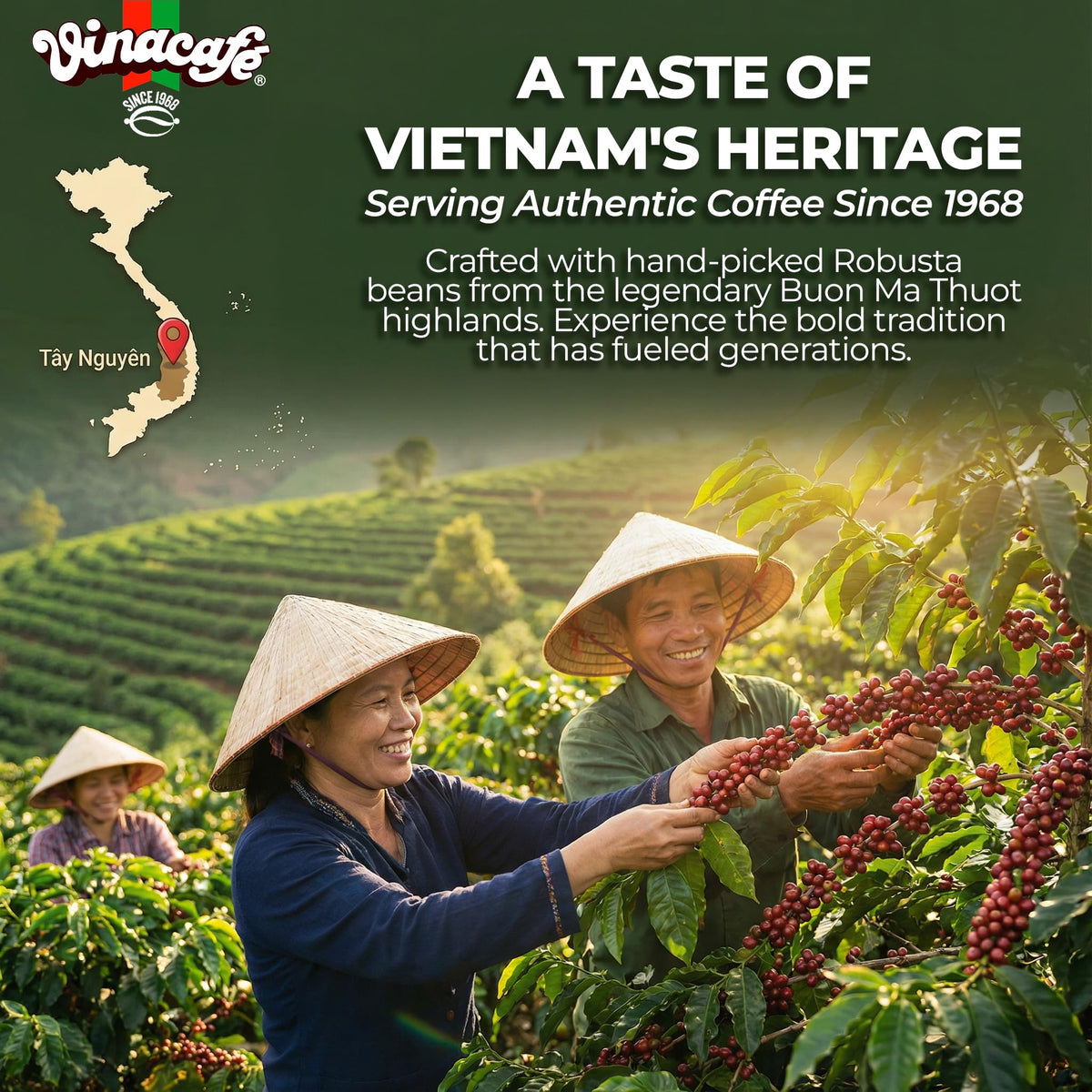 Instant Coffee Packets 3 in 1 Medium Roast Pack of 2 V6775