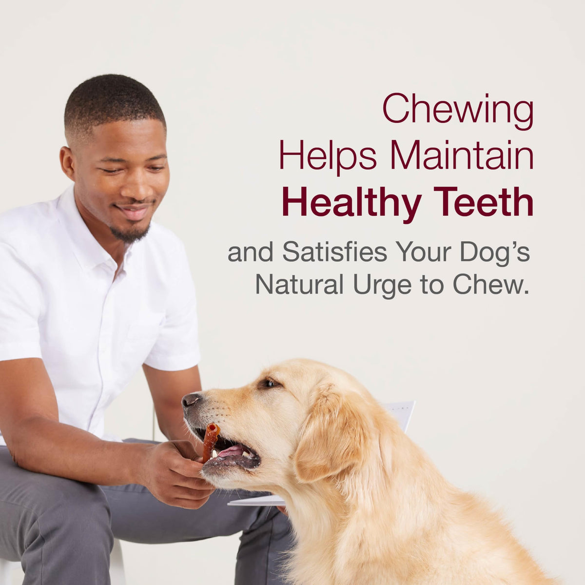 Mini Rawhide-Free Chews for Dogs G131647