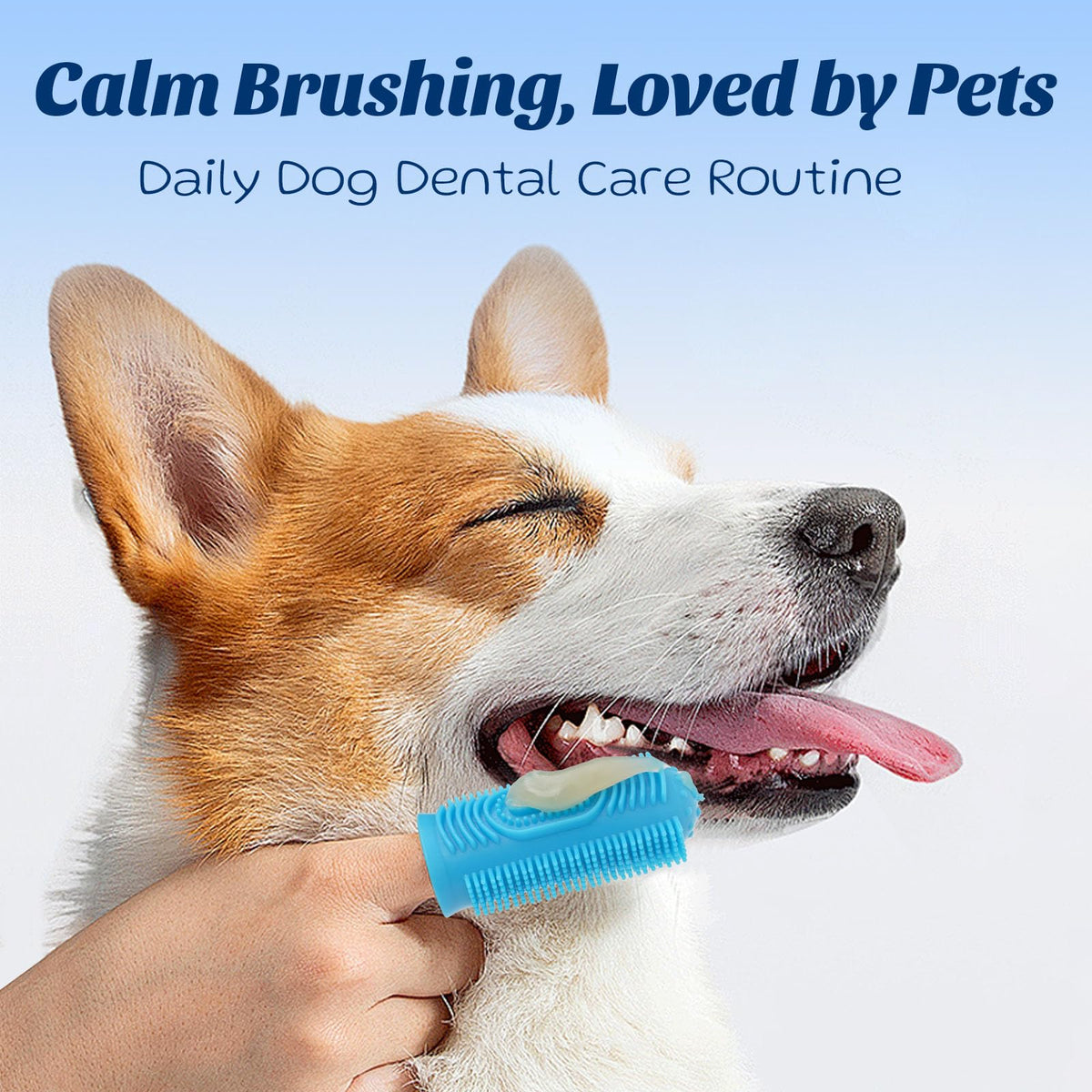 Coconut Chicken Flavor Dog Toothpaste with Toothbrush Kit 2.1oz E774963