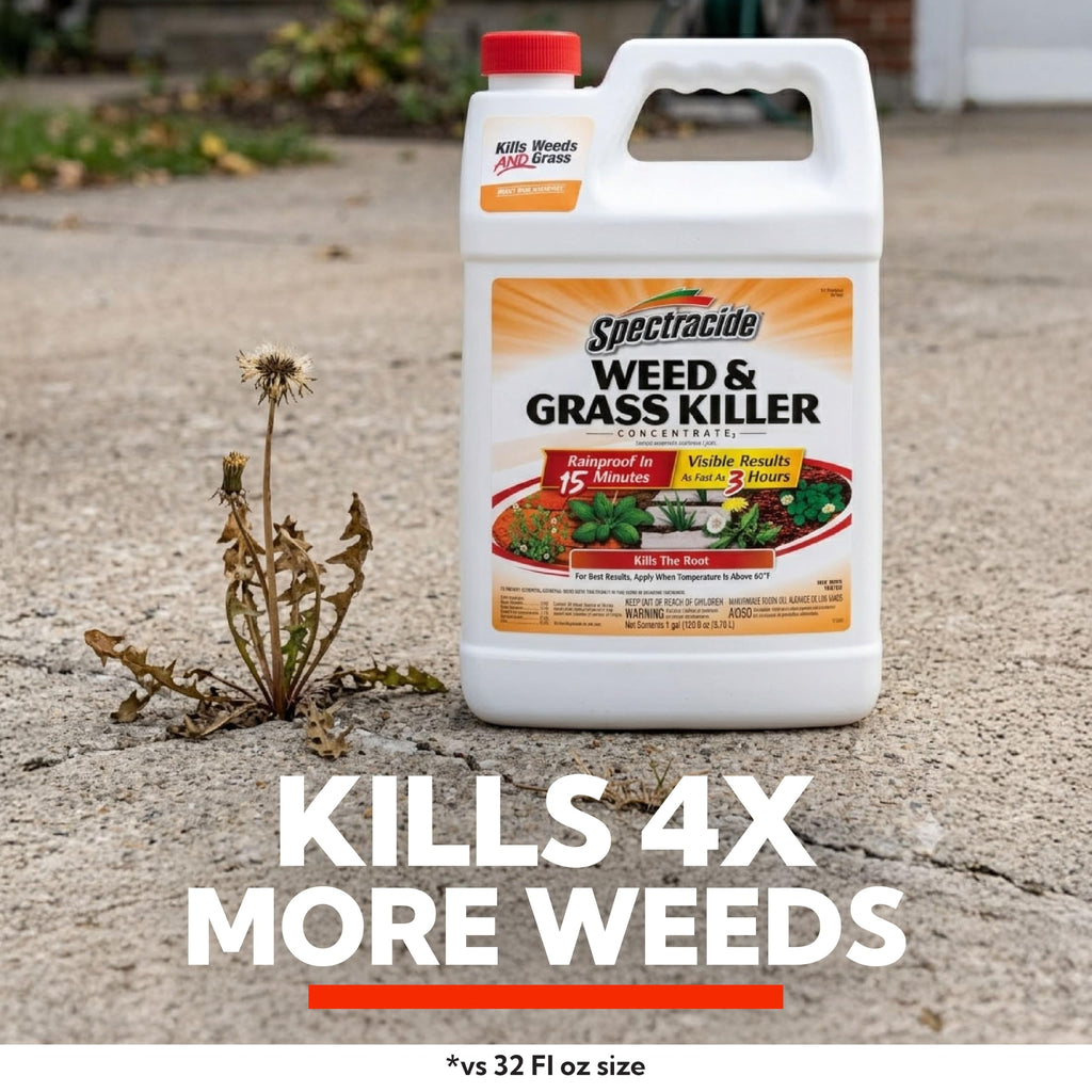 Weed & Grass Killer Concentrate 1 Gal V3312