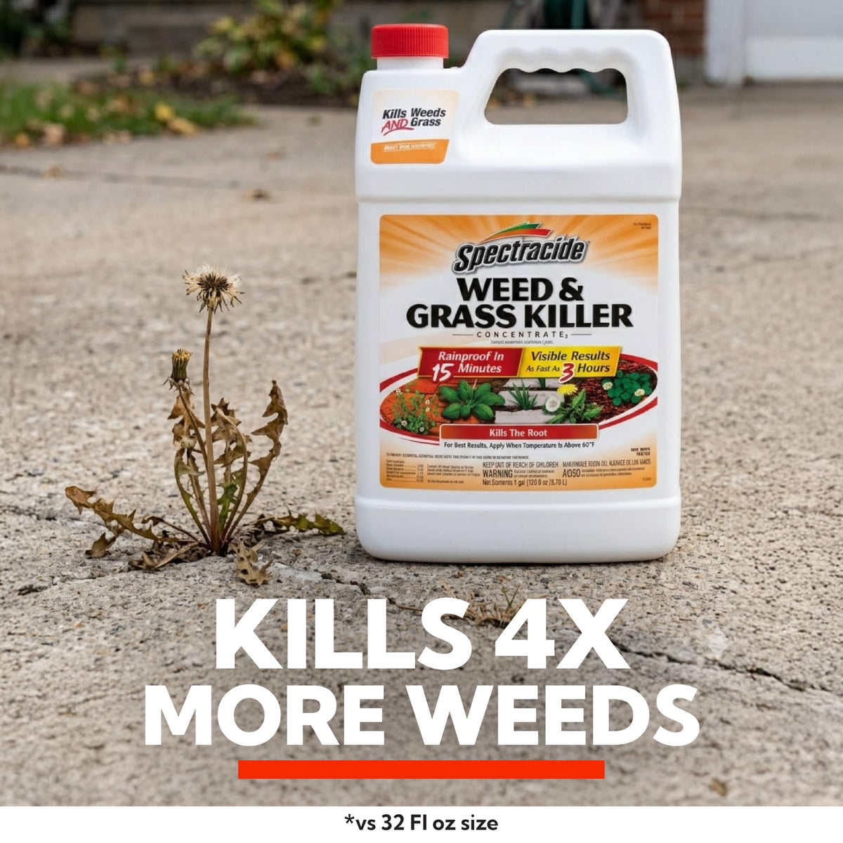 Weed & Grass Killer Concentrate 1 Gal V3312