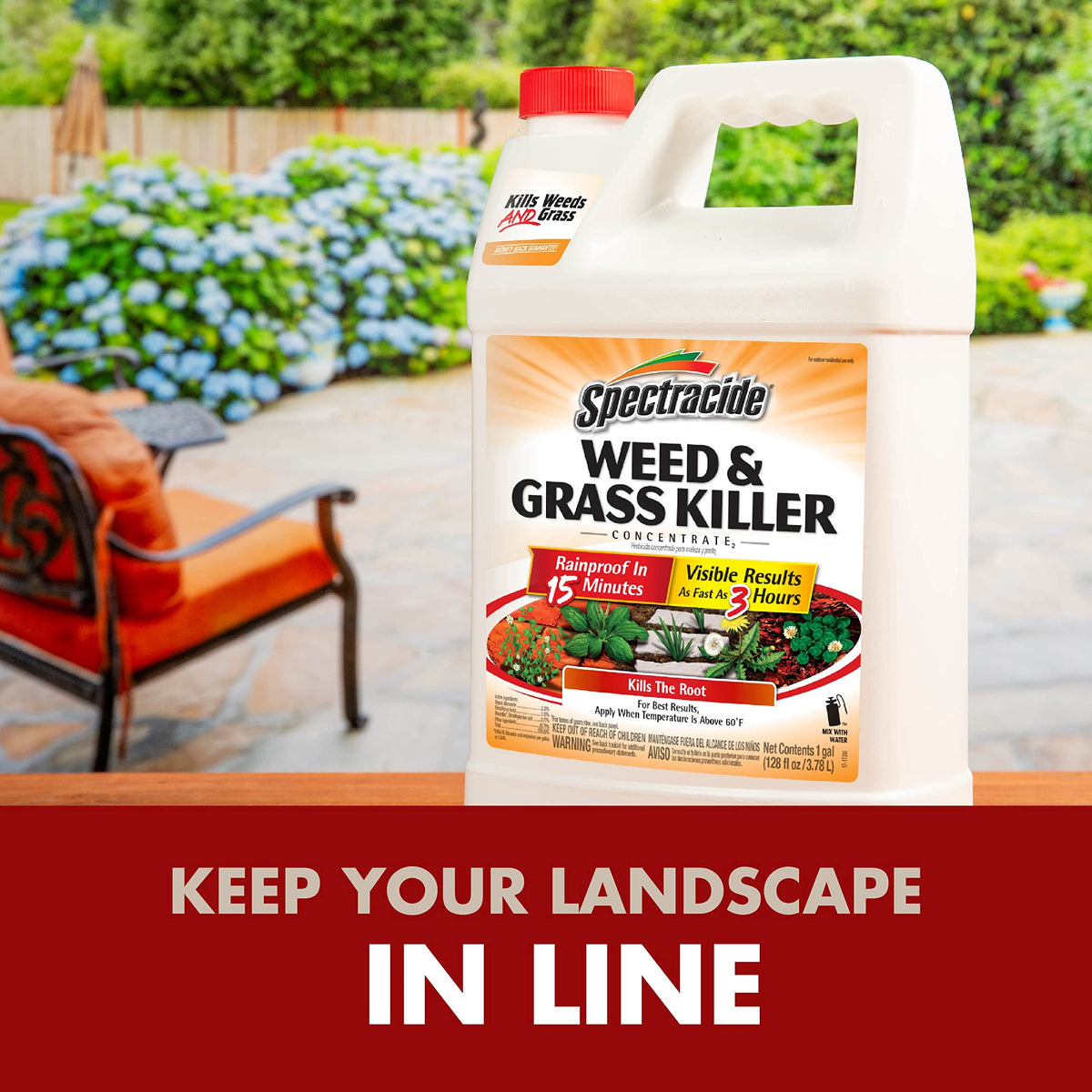 Weed & Grass Killer Concentrate 1 Gal V3312