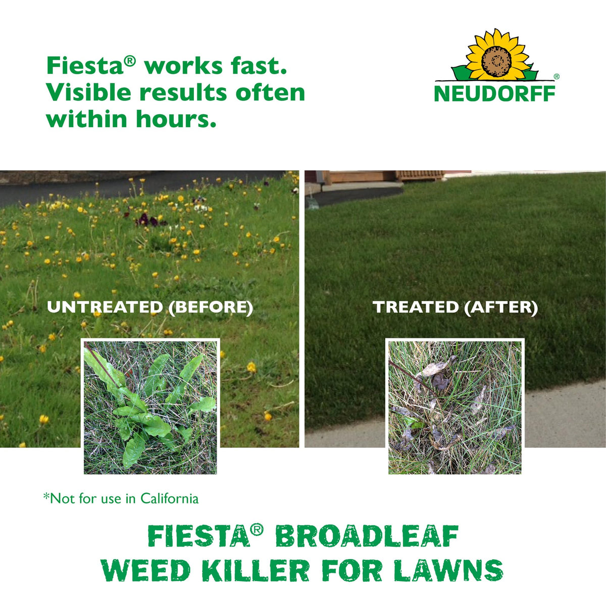 Turf Weed Killer Herbicide Concentrate One Gallon I8449