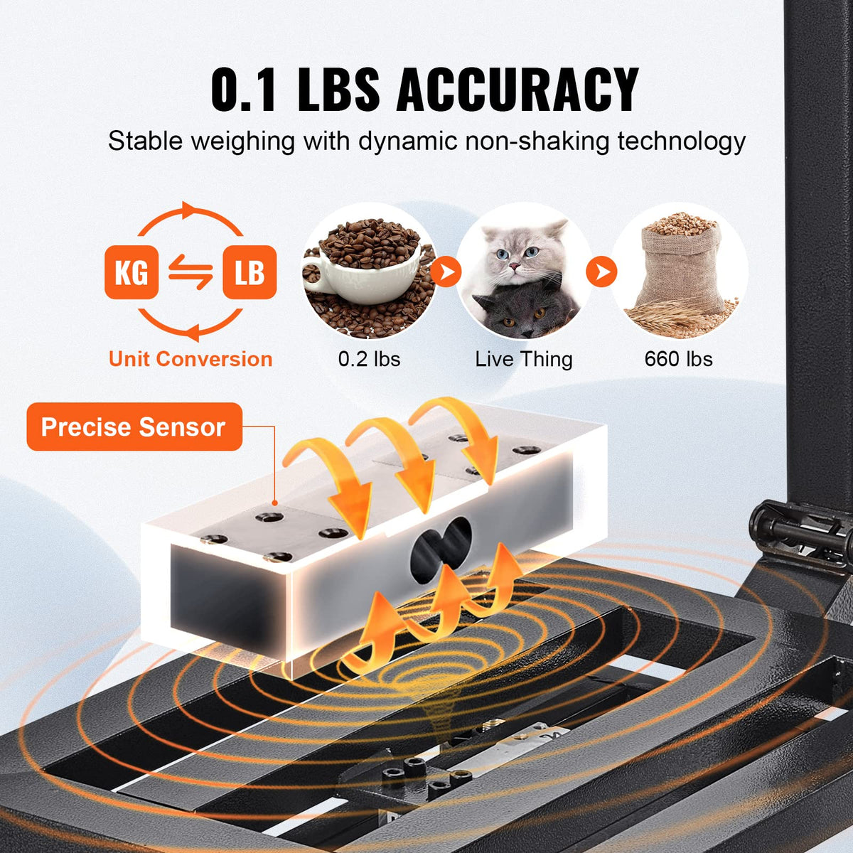 660 lbs Stainless Steel Digital Platform Scale K60574