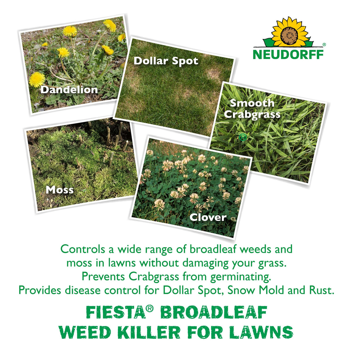 Turf Weed Killer Herbicide Concentrate One Gallon I8449