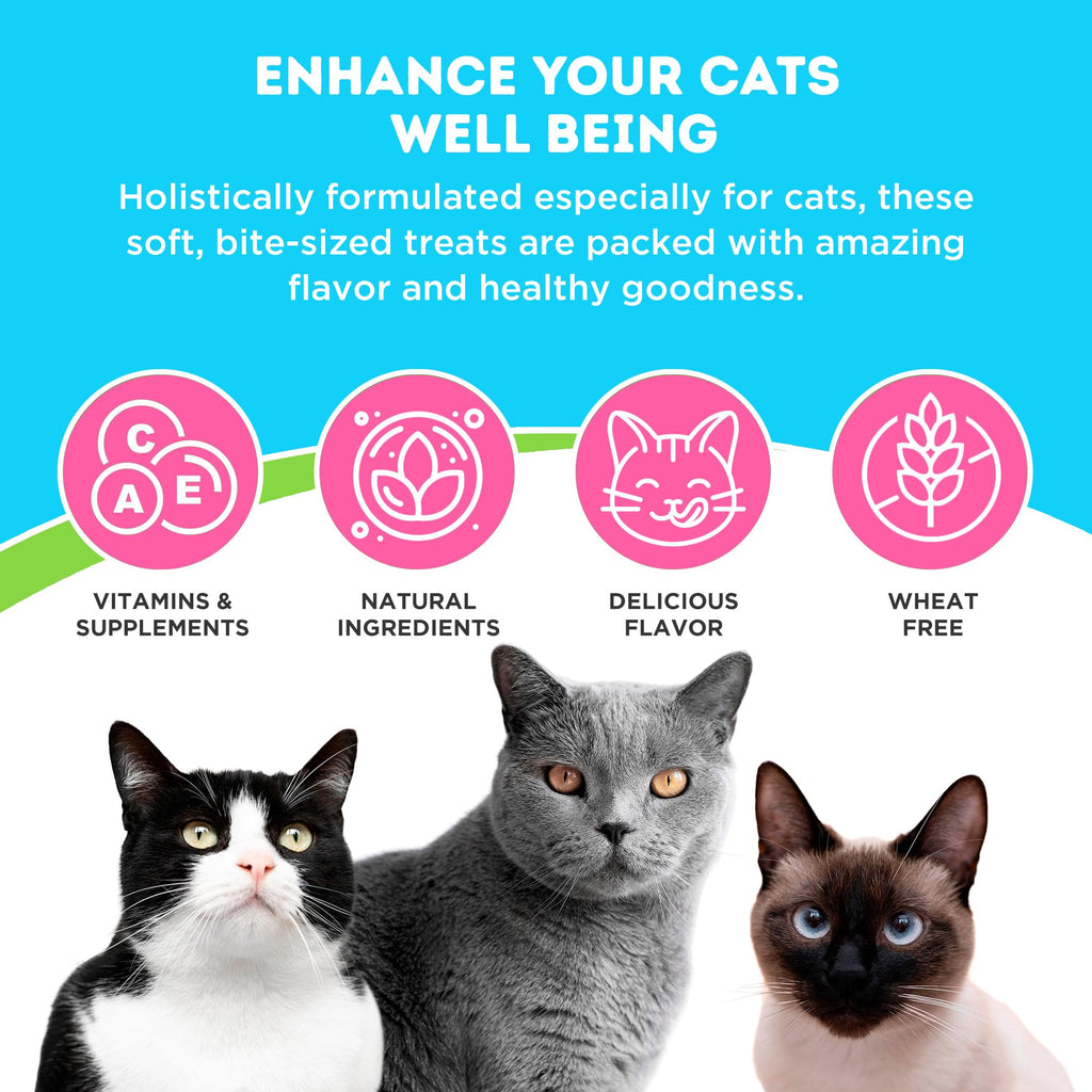 Chicken and Liver Flavor Soft Chews for Cats 60 Count X1721