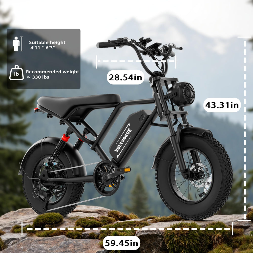 1500W Peak Motor Full Suspension Electric eBike H493