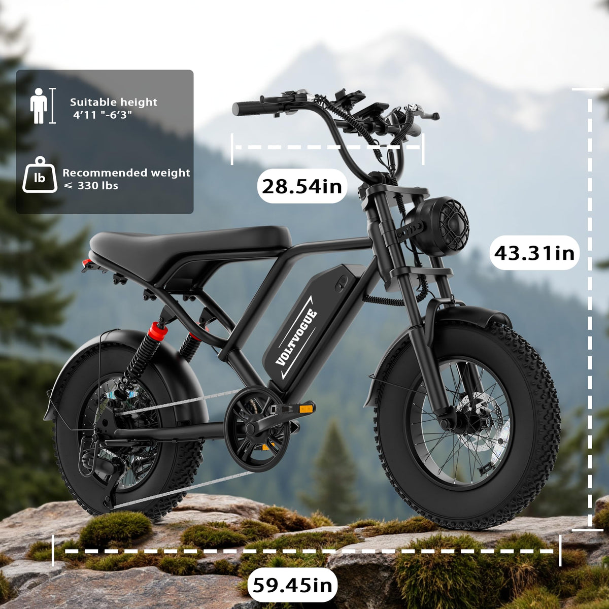 1500W Peak Motor Full Suspension Electric eBike H493