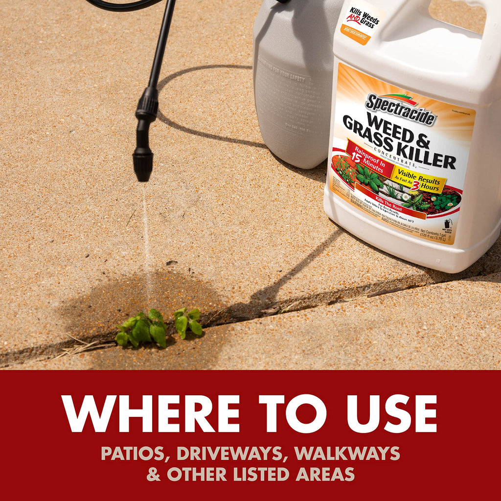 Weed & Grass Killer Concentrate 1 Gal V3312